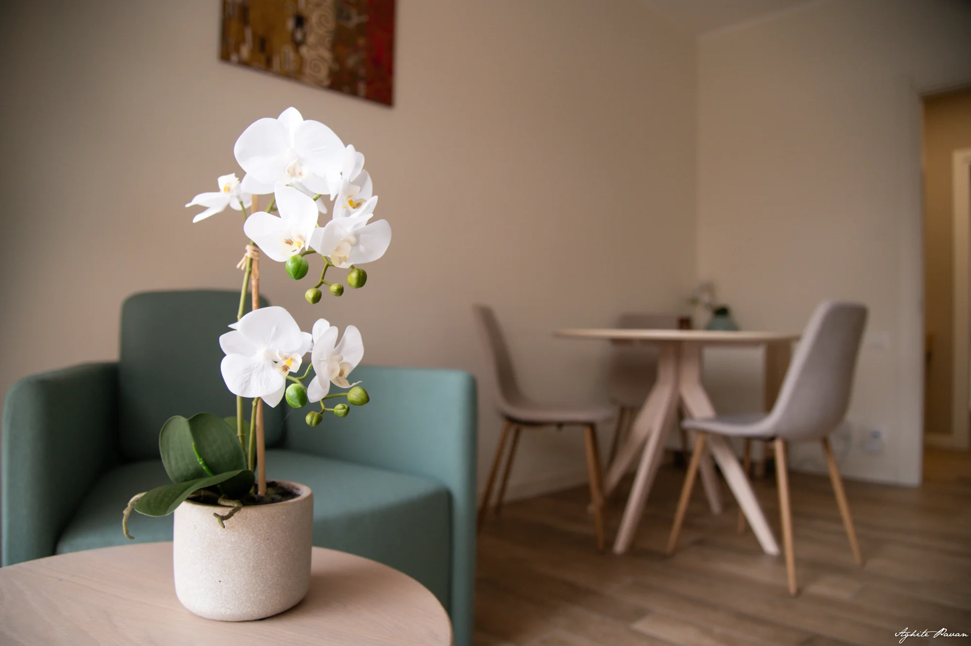 Orchidea sul tavolino accanto alle poltrone dello studio